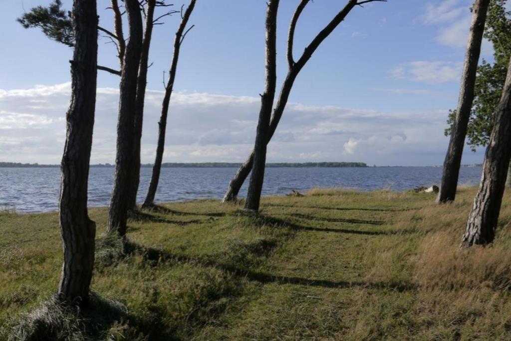 Апартаменты 06 Mantelmoewemit Blick Auf Salzhaff Und Ostsee Рерик
