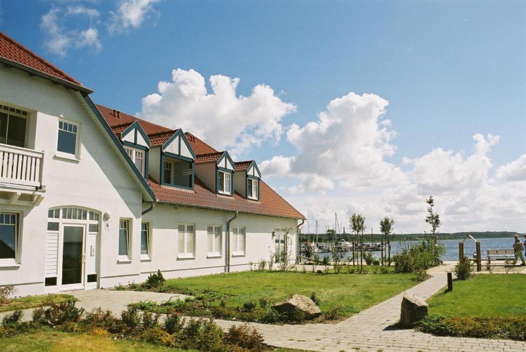 06 Mantelmoewemit Blick Auf Salzhaff Und Ostsee * Рерик