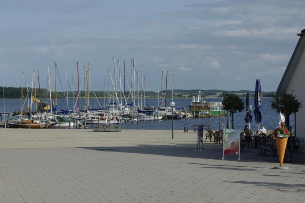 06 Mantelmoewemit Blick Auf Salzhaff Und Ostsee