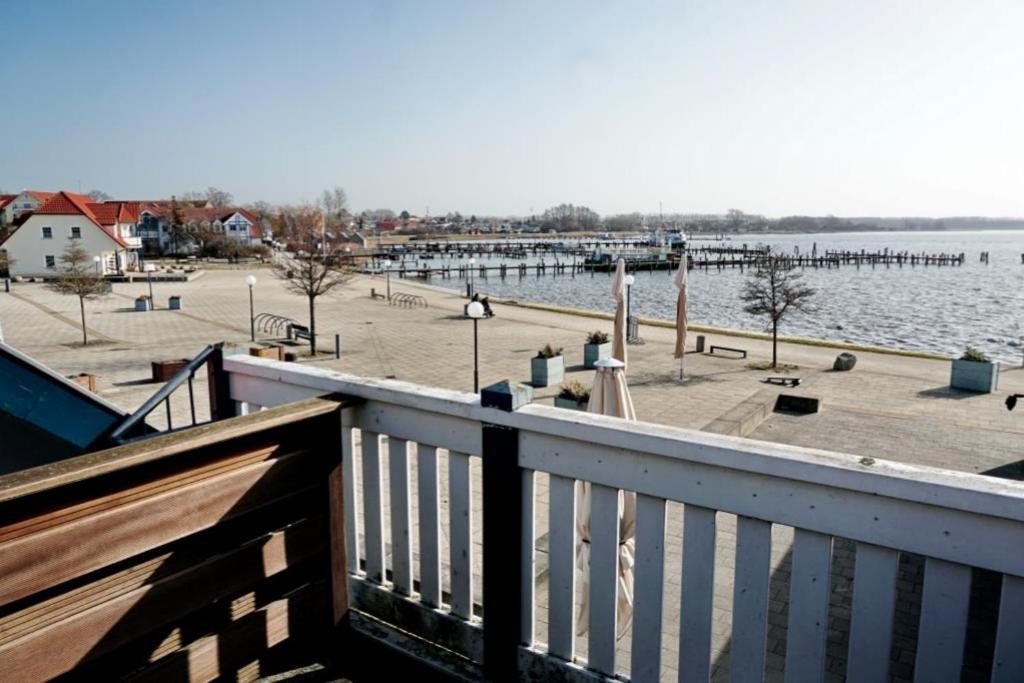 06 Mantelmoewemit Blick Auf Salzhaff Und Ostsee *